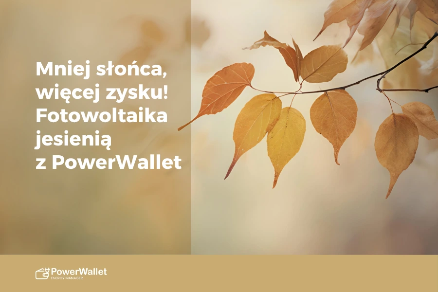 Mniej słońca, więcej zysku – fotowoltaika jesienią z PowerWallet 